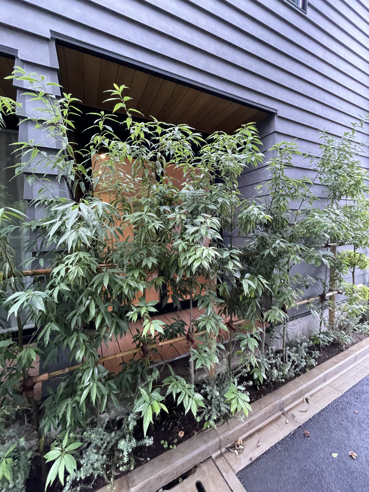 ulu Yamate Aveの外観