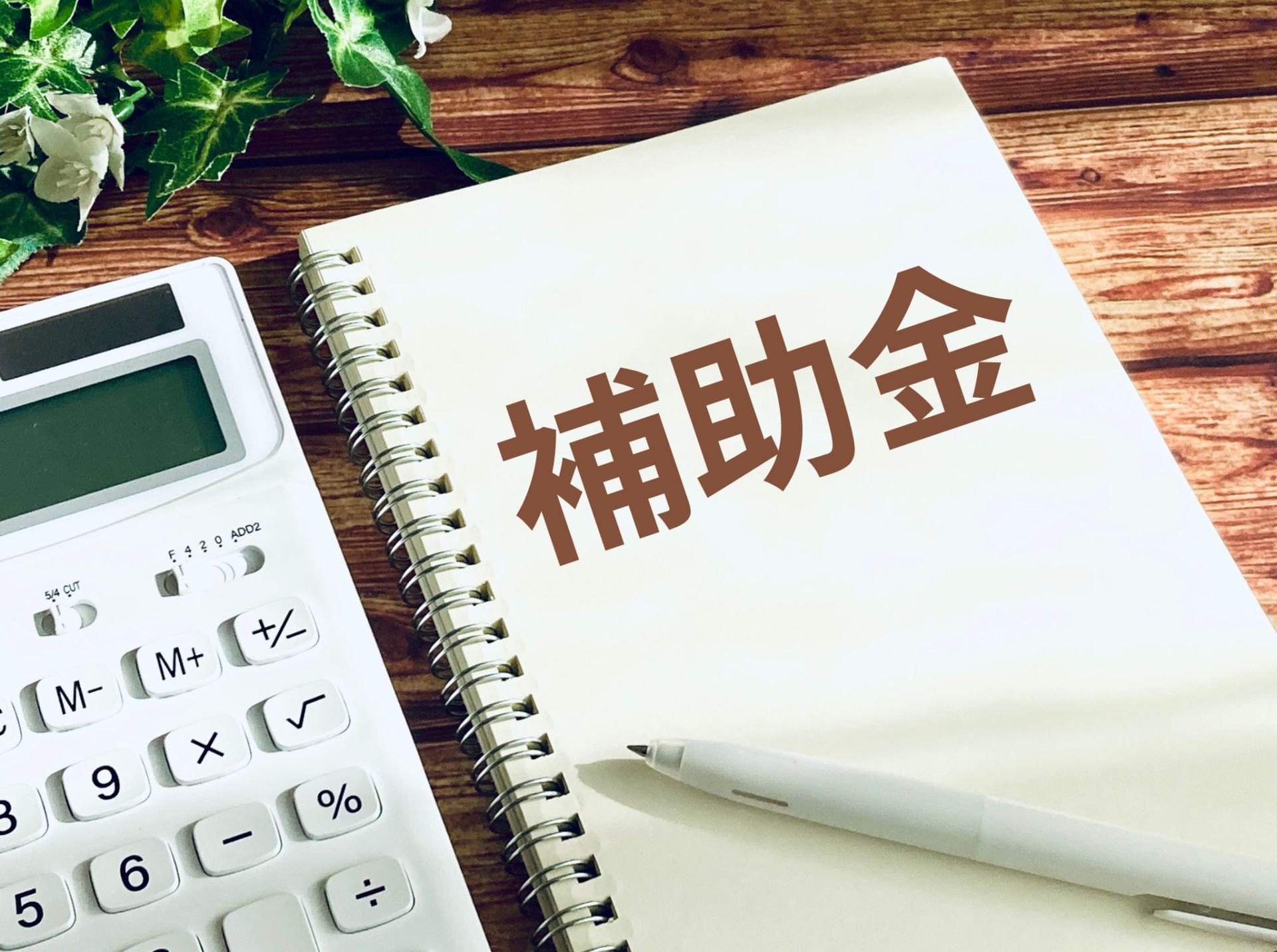 賃貸物件のリフォーム支援制度（国の補助制度）空室対策と資産価値向上を実現する、賢いオーナーの選択|アパート経営・マンション経営の知識