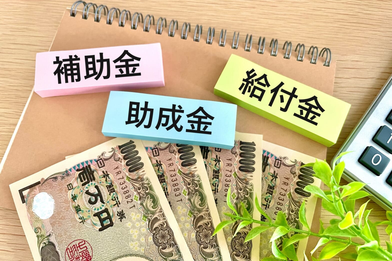 【2025年最新】不動産投資に使える助成金・補助金まとめ|賃貸アパート経営・マンション経営の知識