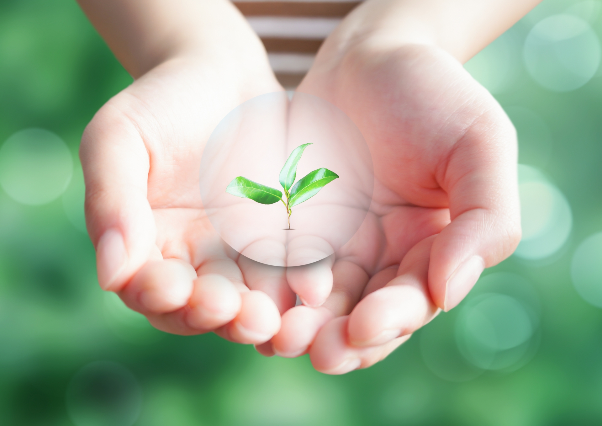 【2025年、住宅の常識が変わる】住宅省エネキャンペーン徹底活用術！オーナーが知るべき光熱費削減と資産価値向上の秘訣|アパート経営・マンション経営の知識